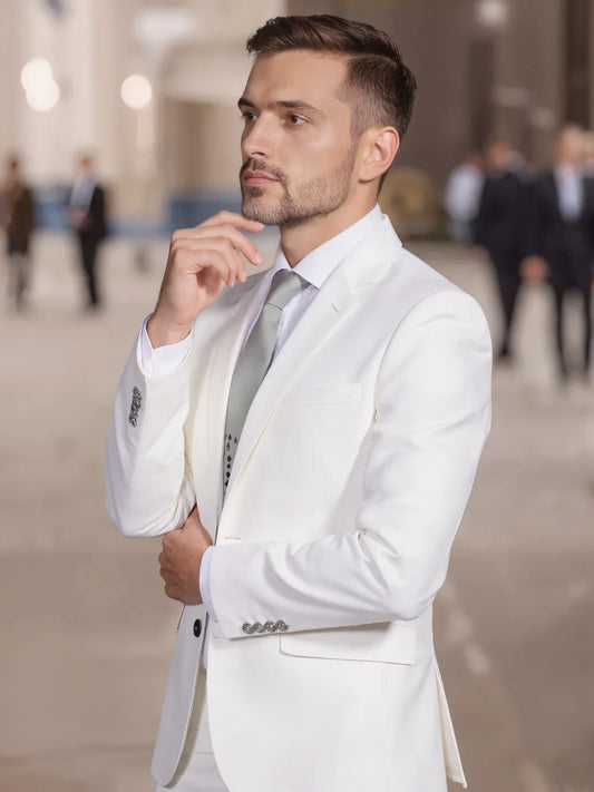 Men's Business Casual Suit, Four-Season Anti-Wrinkle and Hair-Free Two-Piece Set, Double-Button Design, Party Professional Forma