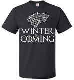 Game Of Thrones Winter is Coming, v2, FOL Classic Unisex T-Shirt